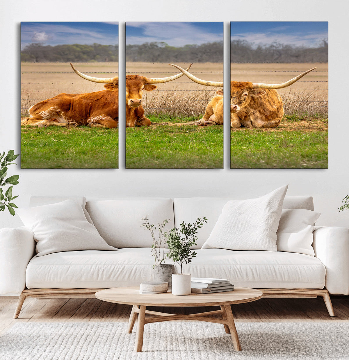 Texas Longhorn Pair Wall Art Canvas Print – Peaceful Rustic