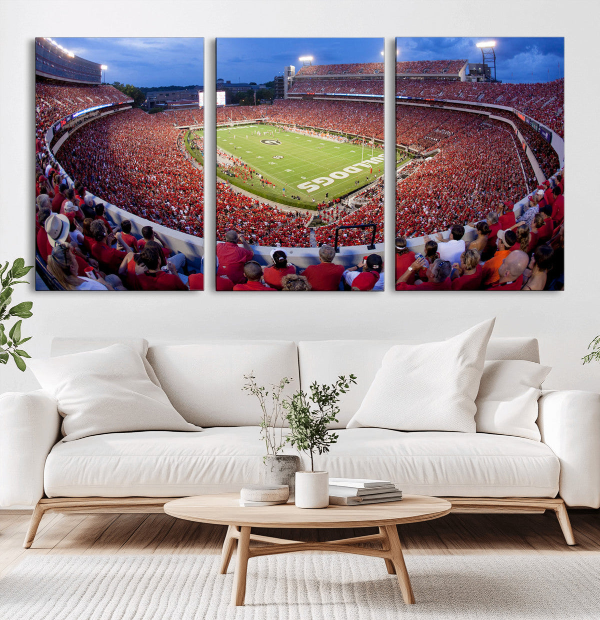 Dooley Stadium Wall Art, Sports Arena Canvas Print, Dooley