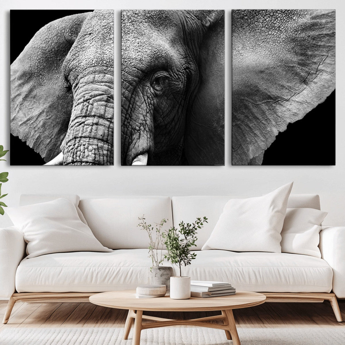 Big Elephant Close Up Wall Art Canvas Print