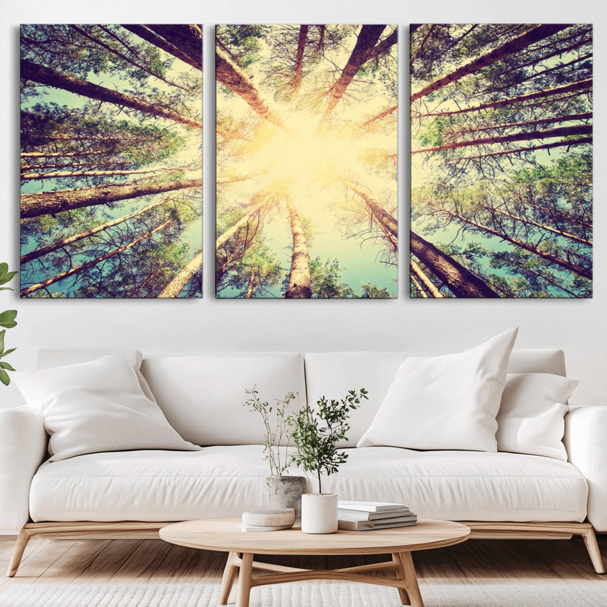 Tree and Sunshine Canvas Print