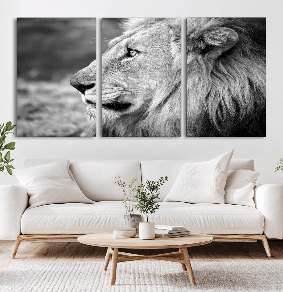 Lion Wall Art Canvas Print – Framed Majestic Wildlife