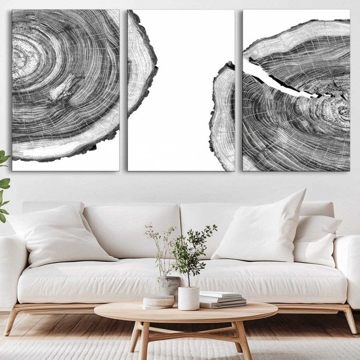Abstract Large Tree Rings – Minimalist Black and White Wood