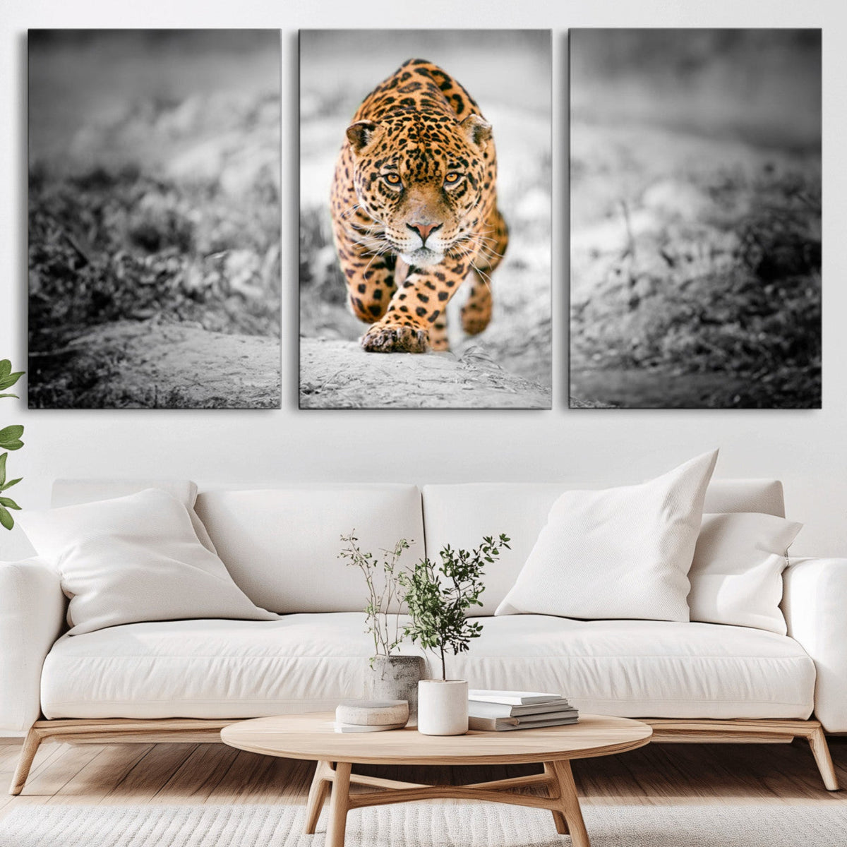 Jaguar Wall Art Canvas Print - Majestic Big Cat in Focused