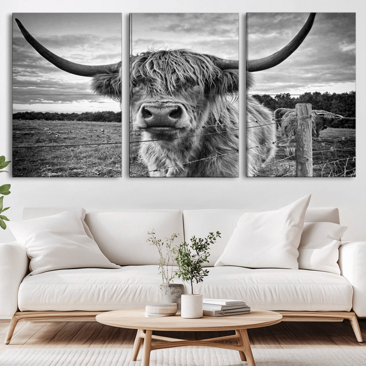Scottish Highland Cow Wall Art Canvas Print | Ready to Hang