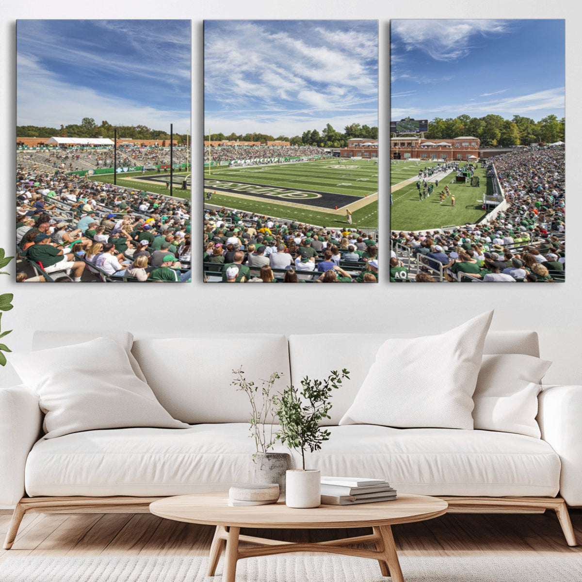 University of Charlotte 49ers Football Team Print -