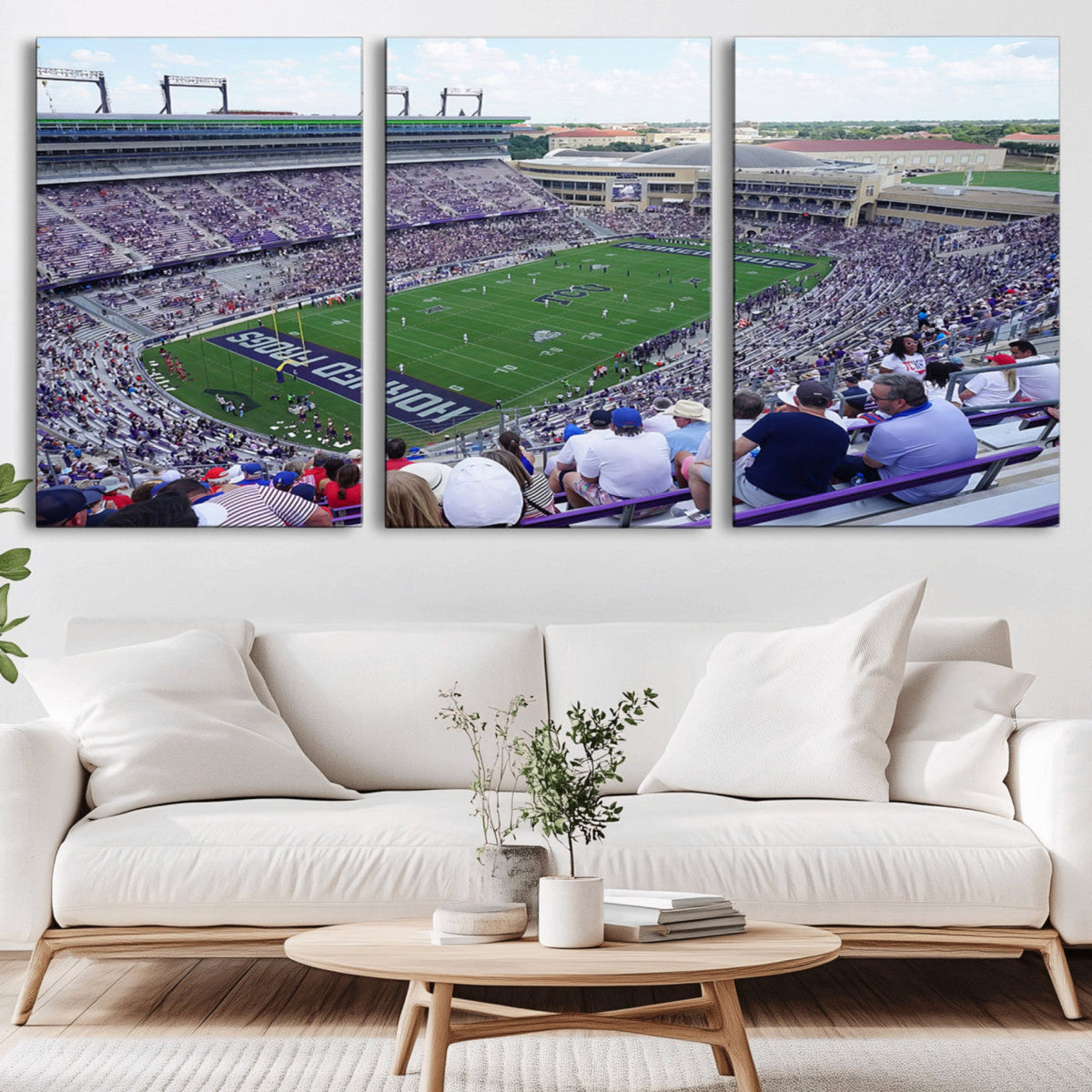 The Texas Christian University TCU Horned Frogs Football
