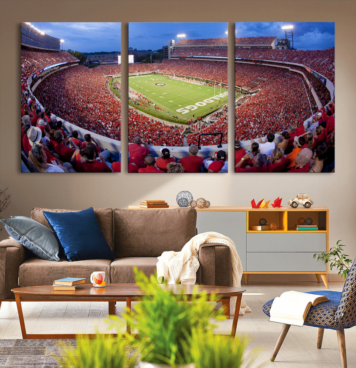 Dooley Stadium Wall Art, Sports Arena Canvas Print, Dooley