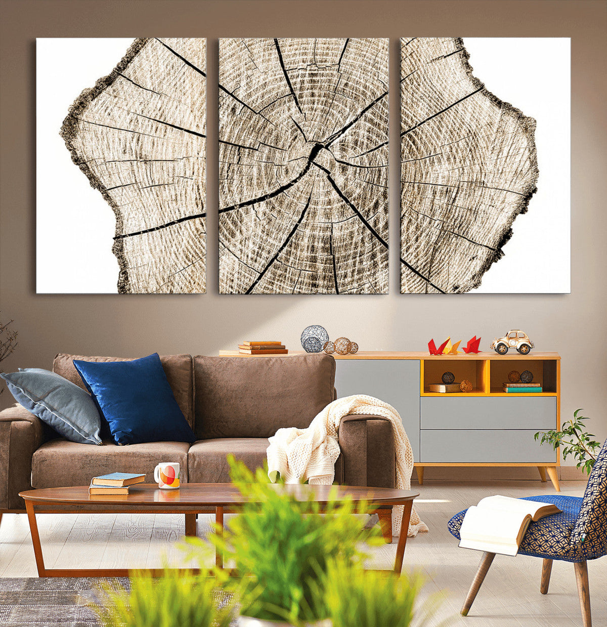 Abstract Wood Tree Ring Wall Art - Ready to Hang Minimalist