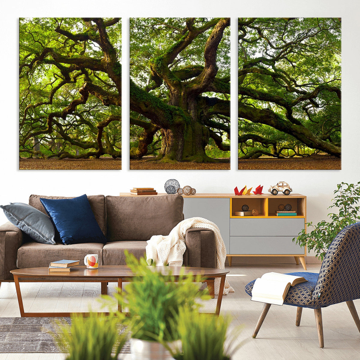 Angel Oak Tree Wall Art Canvas Print | Forest Tree Nature