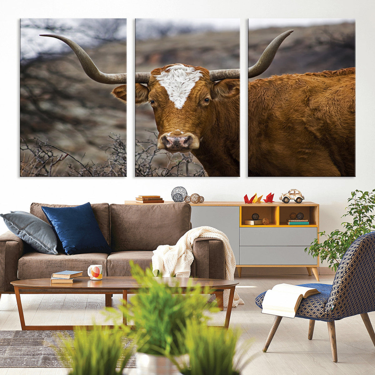 Texas Longhorn Canvas Wall Art - Longhorn Steer Canvas Wall