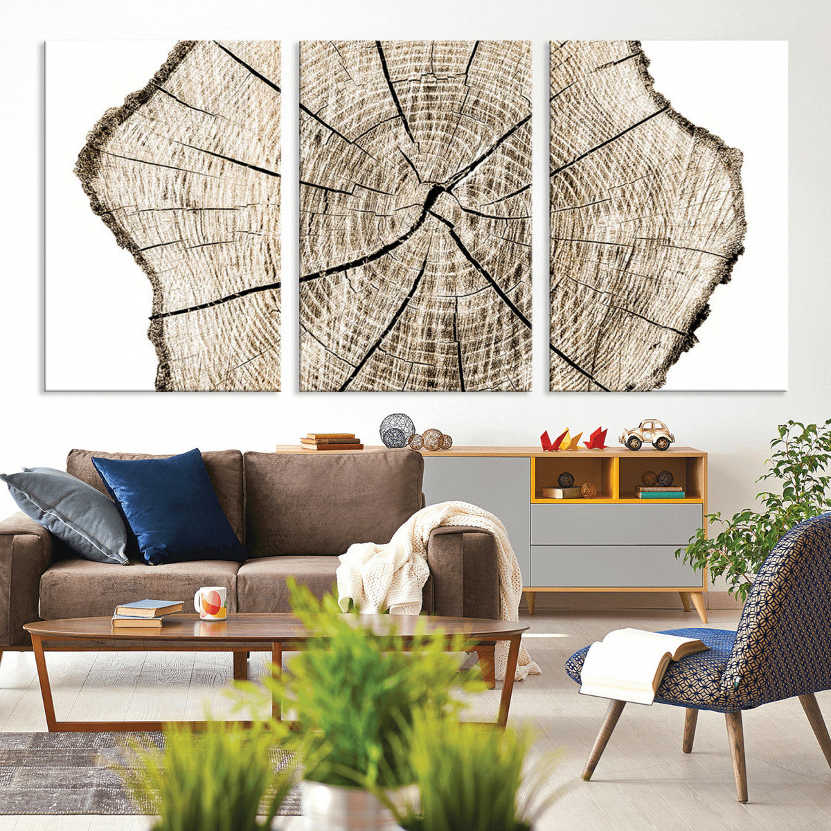 Abstract Wood Tree Ring Wall Art - Ready to Hang Minimalist