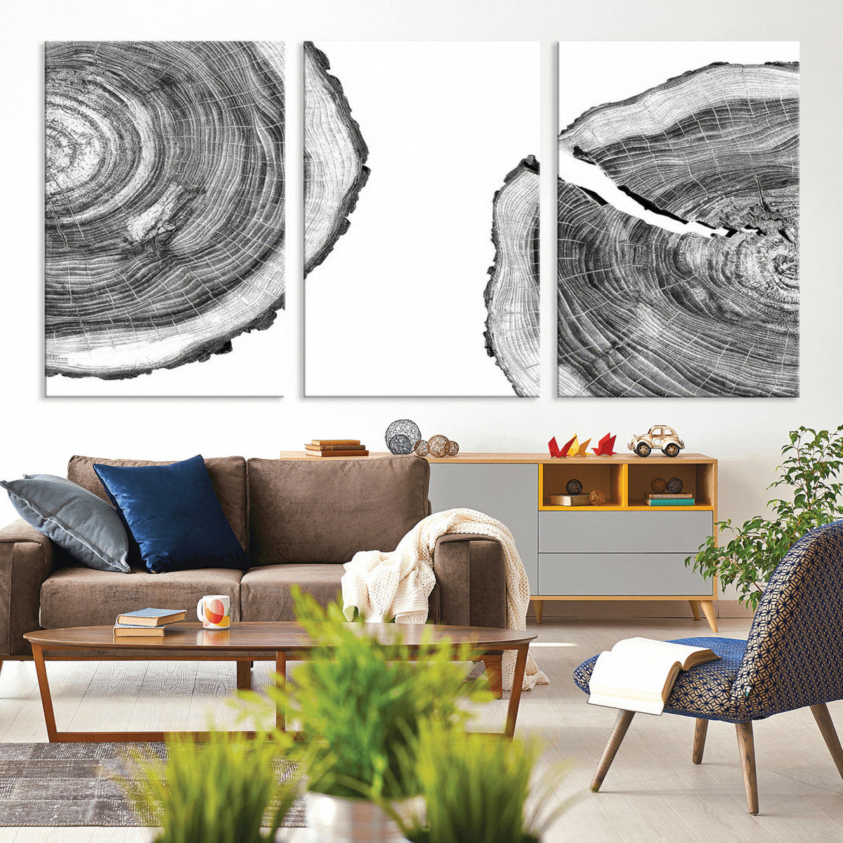Abstract Large Tree Rings – Minimalist Black and White Wood