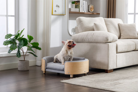 Scandinavian-Style-Elevated-Dog-Bed-Pet-Sofa-Velvet-Cushion-Mid-Size-Light-Grey-Pet-Bed