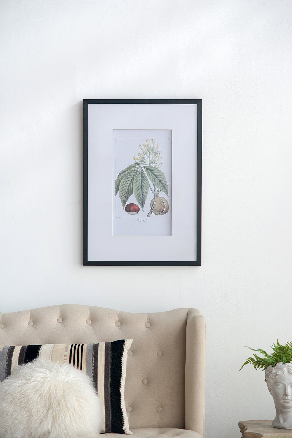 19.7x27.6' Botanical Wall Arts, Set of 2
