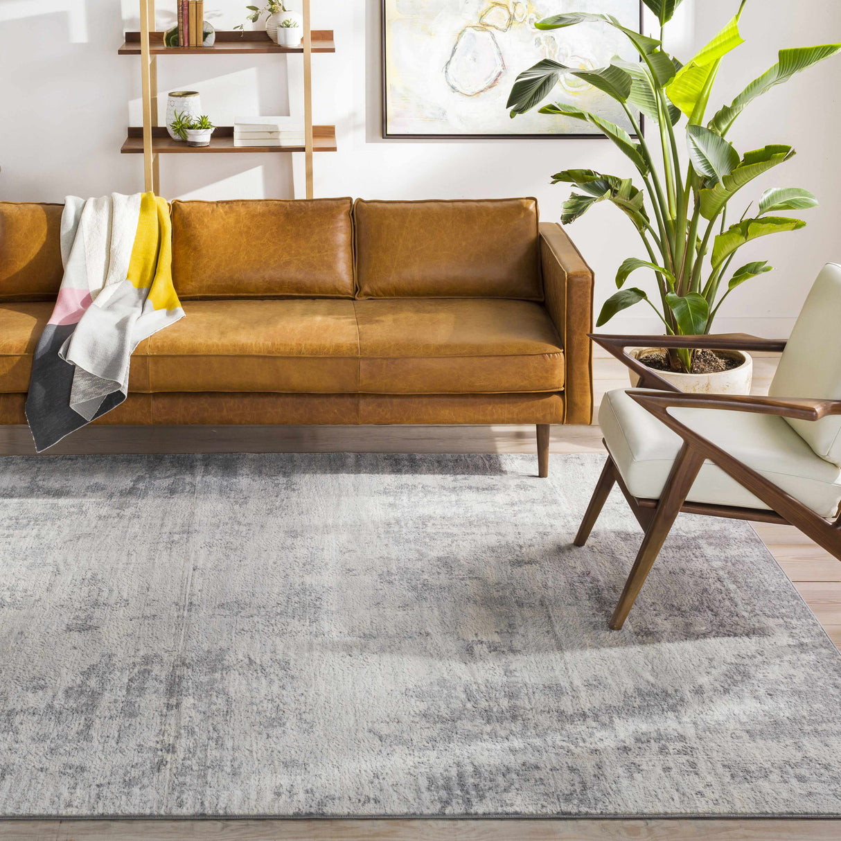 Apison Area Rug