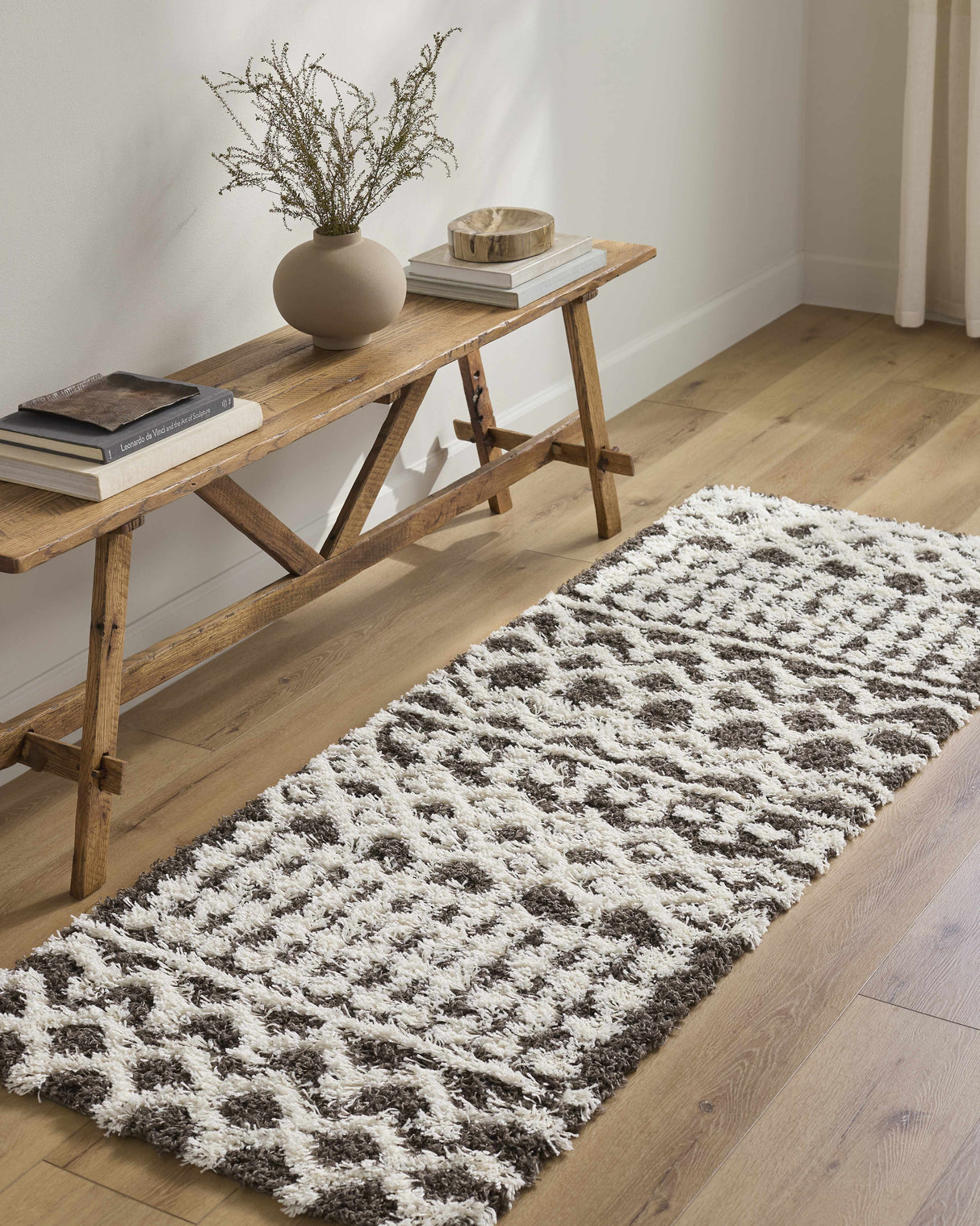 Aysel Shag Area Rug