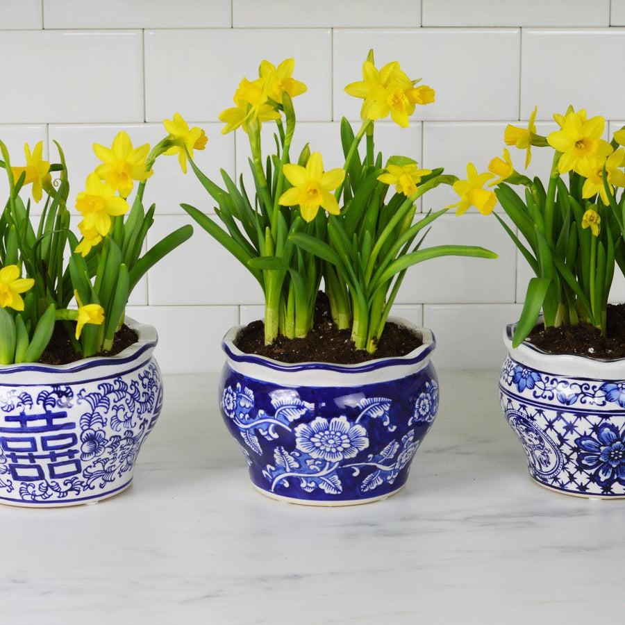 Blue-and-white-terrace-garden-planter-3-pc-set-Pots-&-Planters