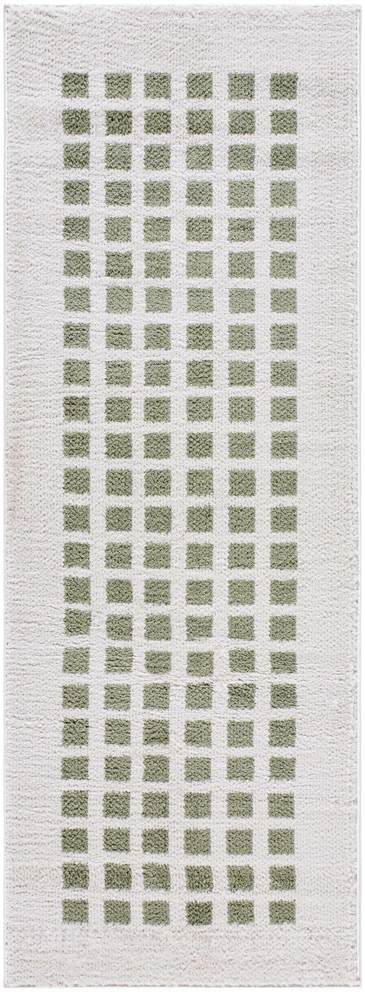 Baback Green Washable Area Rug