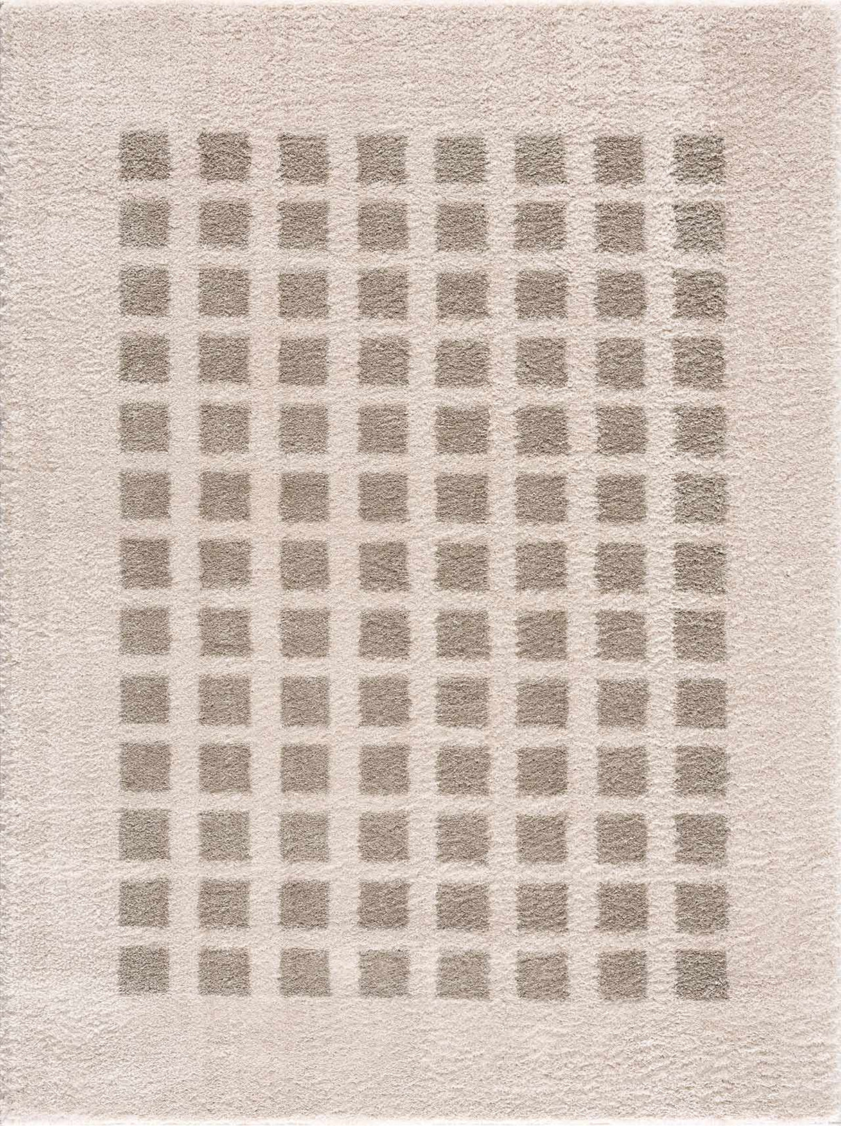 Baback Gray Washable Area Rug