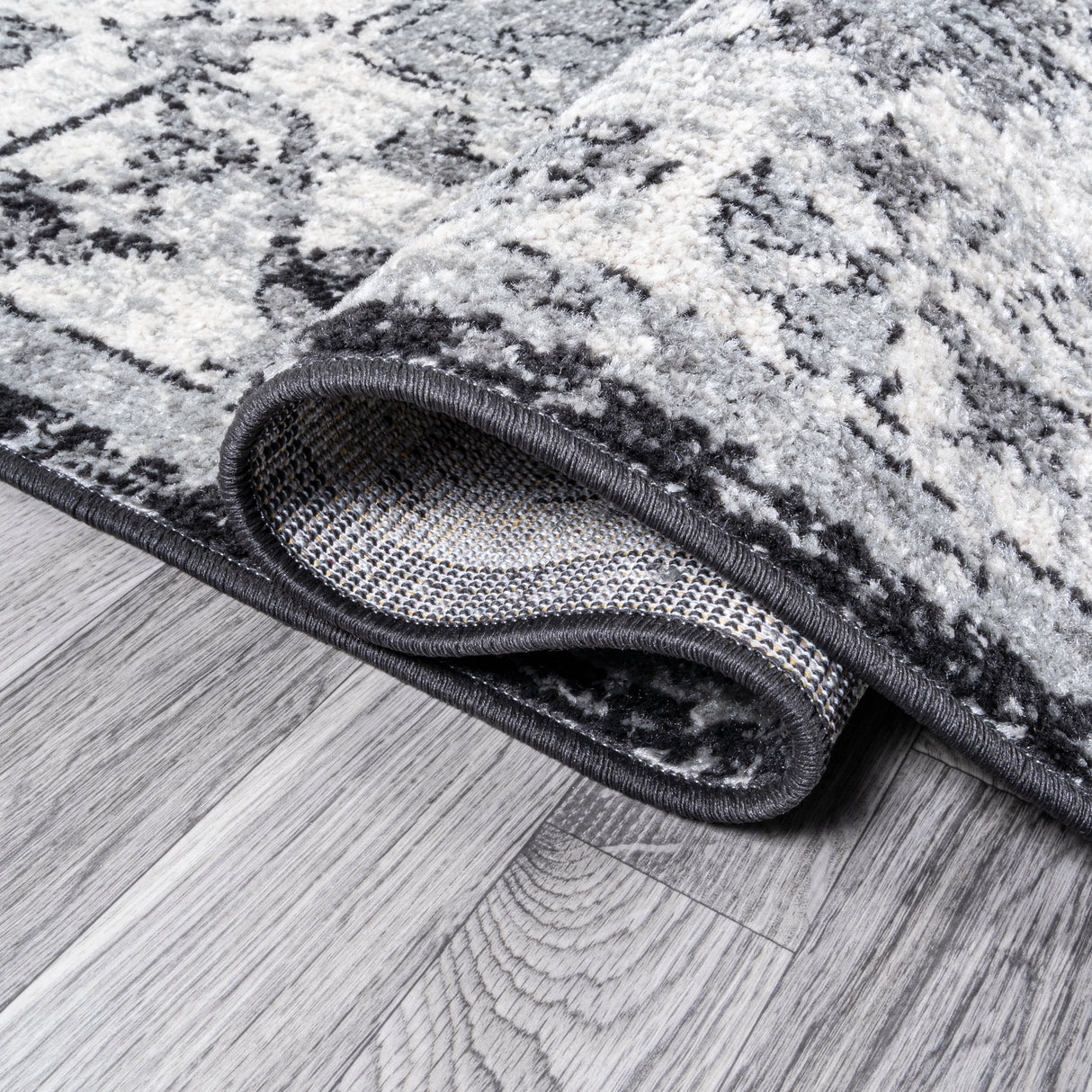 Anaise Ornate Medallion Area Rug