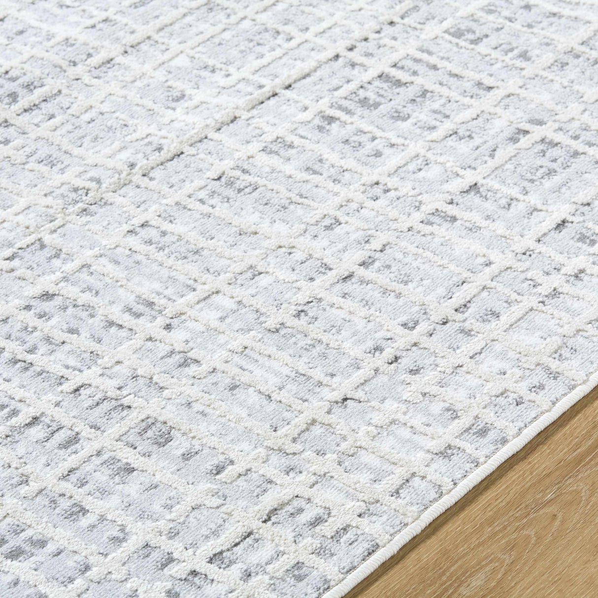 Barbra Gray Area Rug