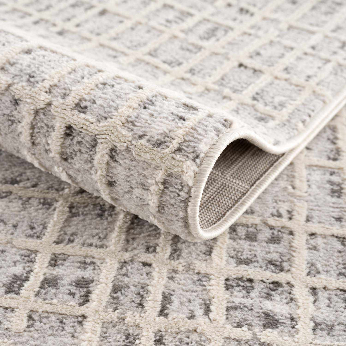 Barbra Gray Area Rug