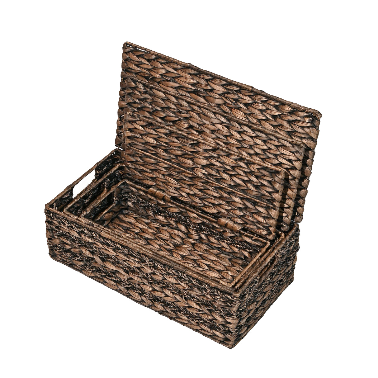 Sandrine Classic Farmhouse Handwoven Hyacinth Storage Baskets with Handles and Lids (Set of 3)