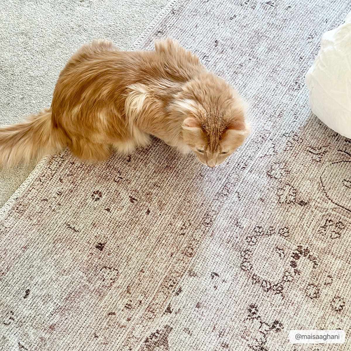 Bethany Vintage Flat Pile Washable Rug