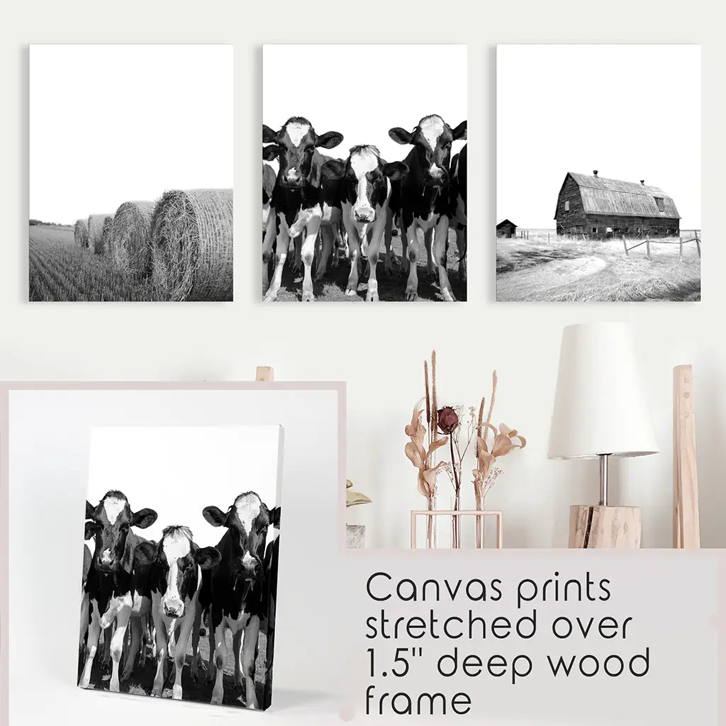 Black White Harvest on a Farm Wall Art. Cow, Hay Bale, Barn