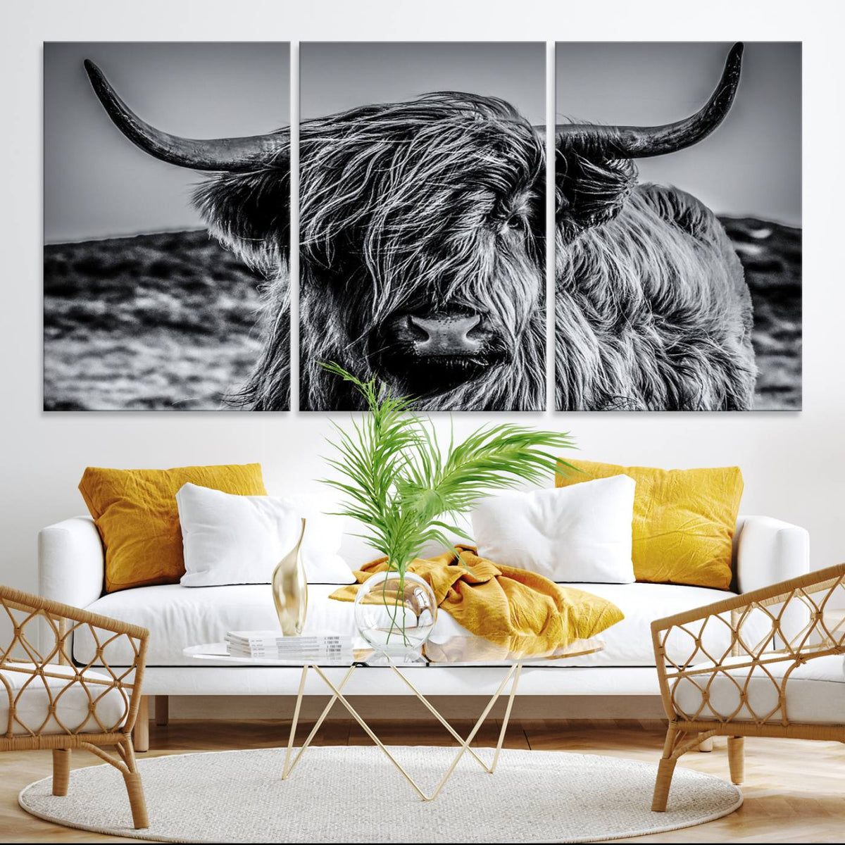 Black and White Cow Wall Art Canvas Print Highland Cattle