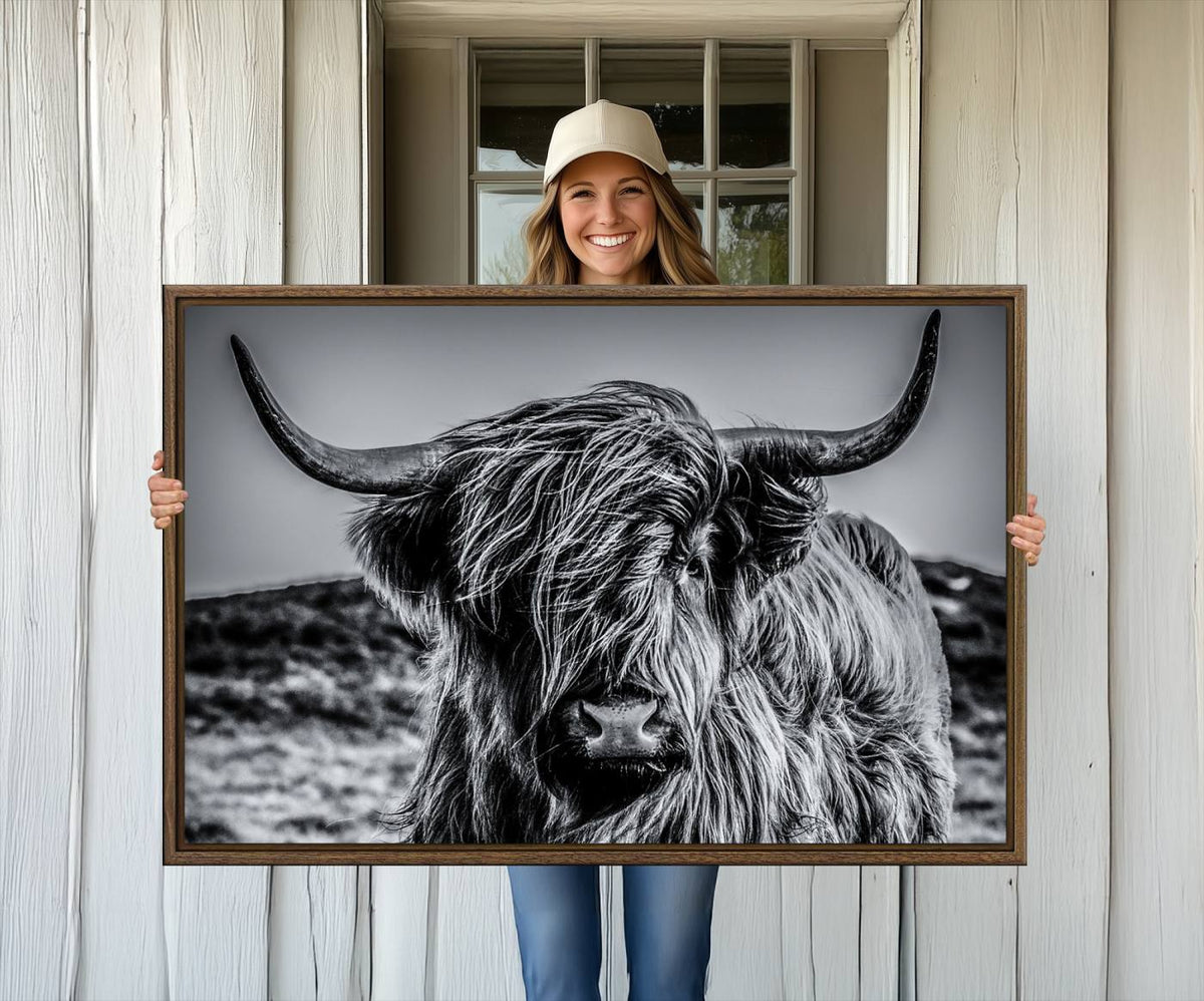 Black and White Cow Wall Art Canvas Print Highland Cattle