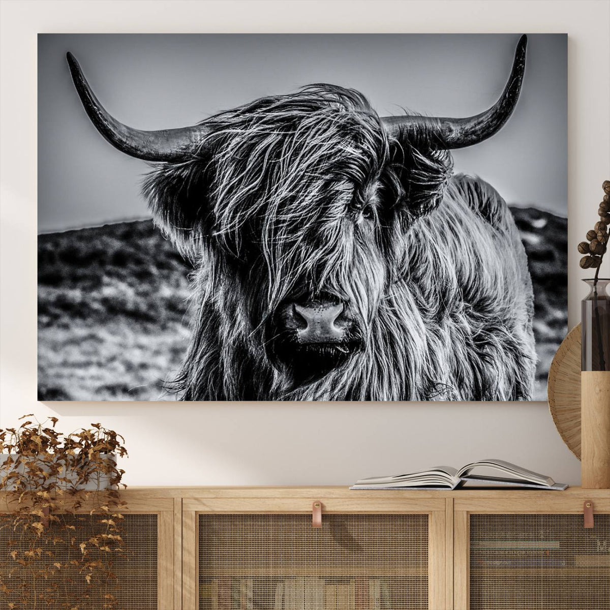 Black and White Cow Wall Art Canvas Print Highland Cattle