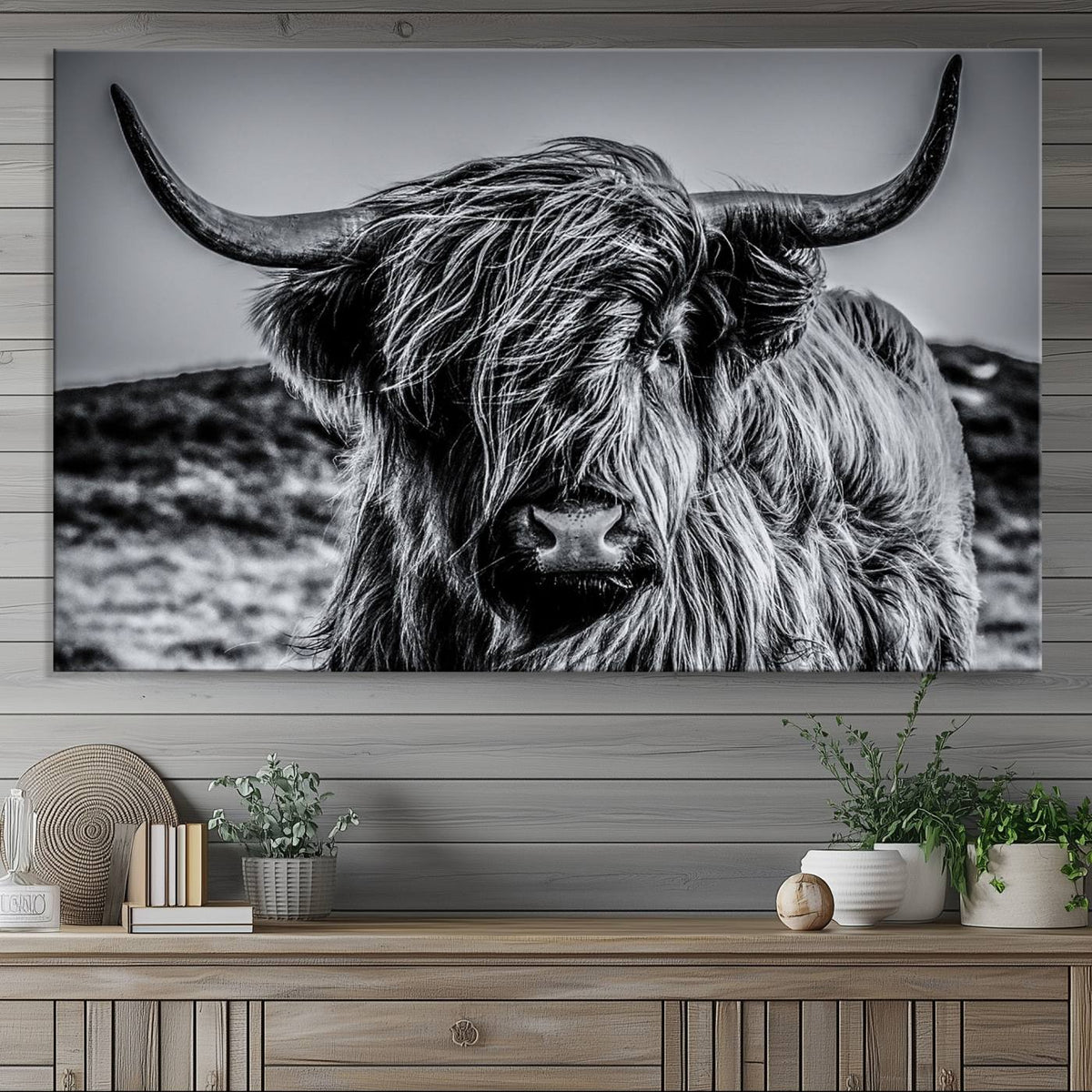 Black and White Cow Wall Art Canvas Print Highland Cattle