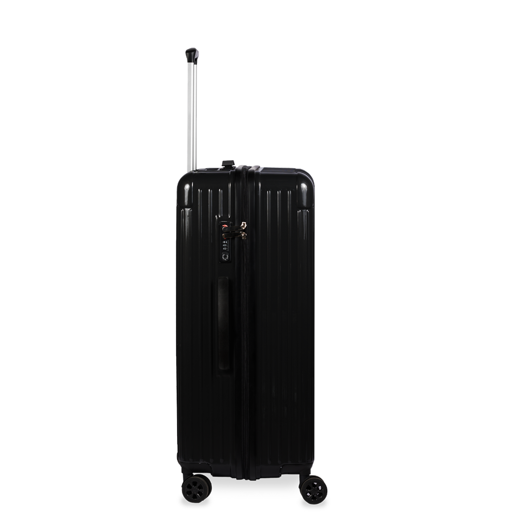 Check-In Luggage