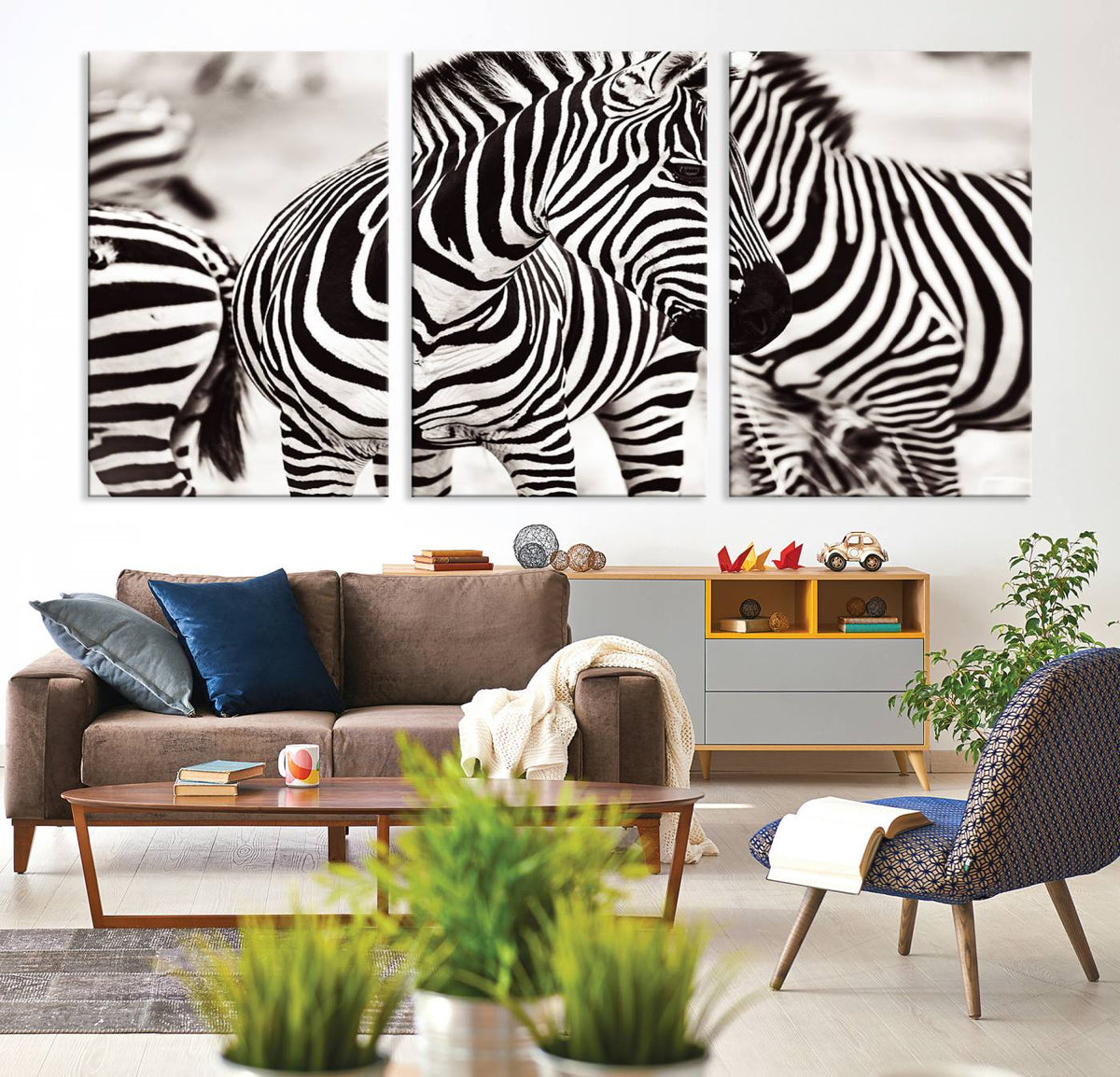 Brilliant Zebra Photography Art Canvas Print Black and White