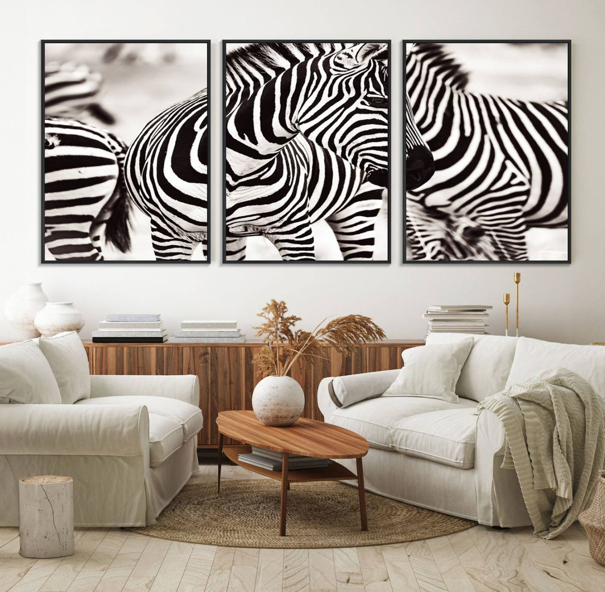 Brilliant Zebra Photography Art Canvas Print Black and White