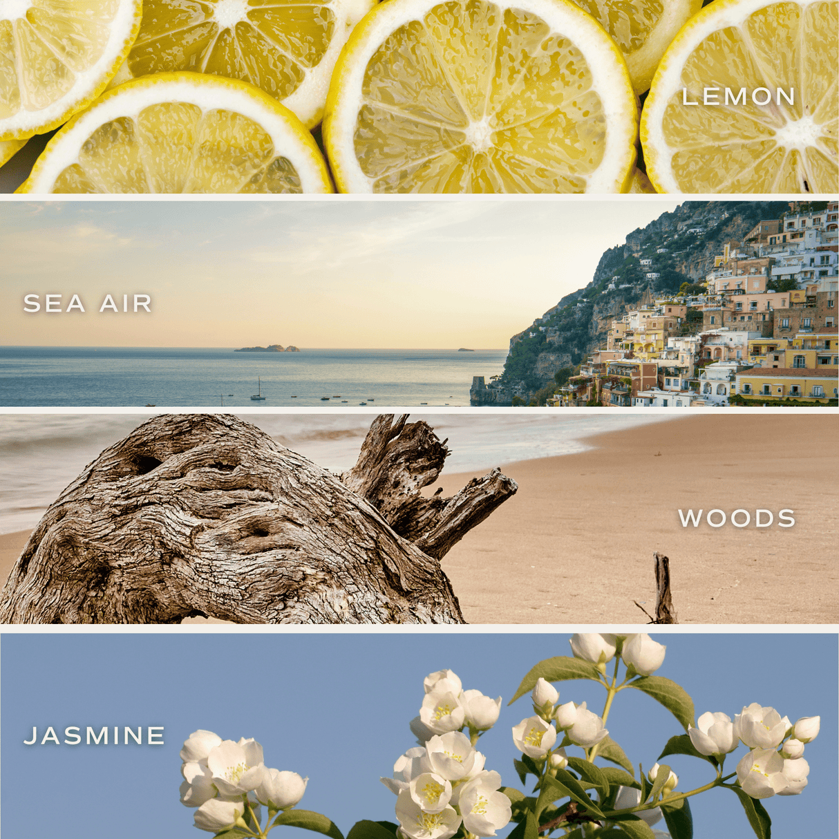 Coastal Lemon Hanging Air Freshener