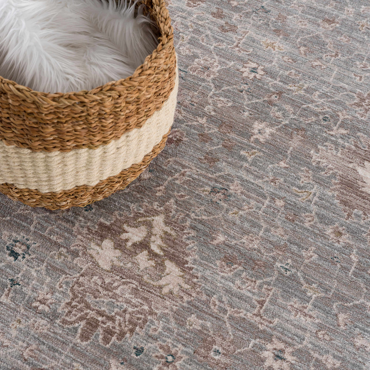 Scole Area Rug - Clearance