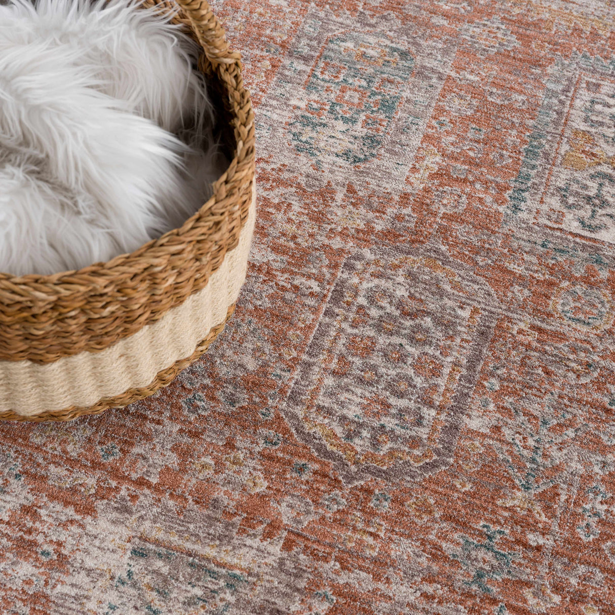Casta Area Rug - Clearance