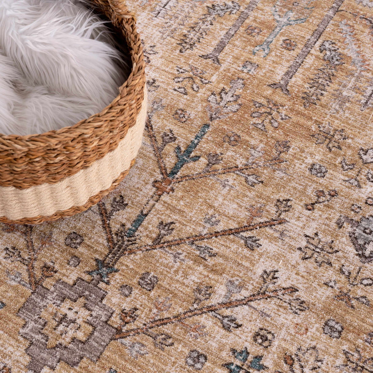 Darla Area Rug - Clearance