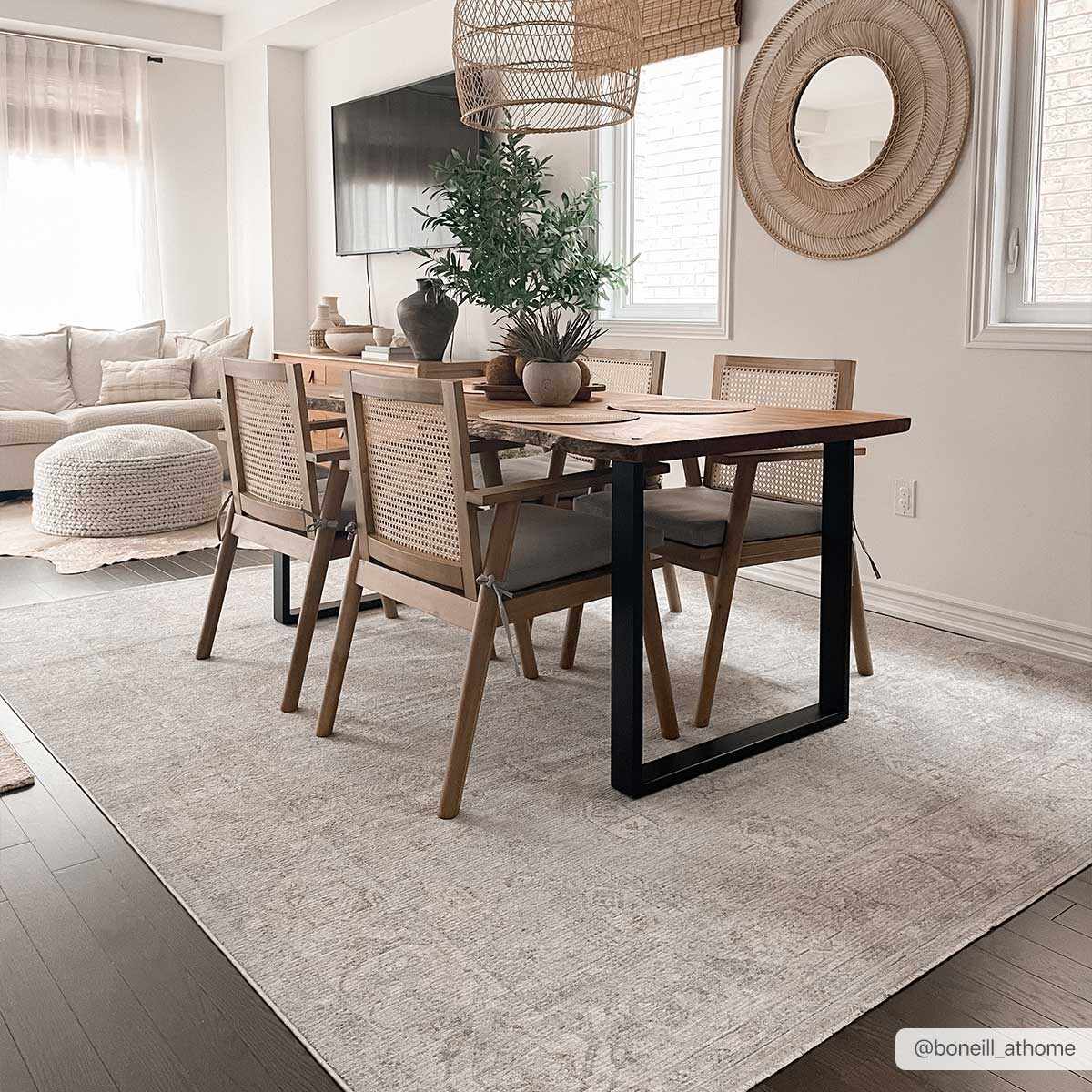 Coby Teal Avant Garde Area Rug