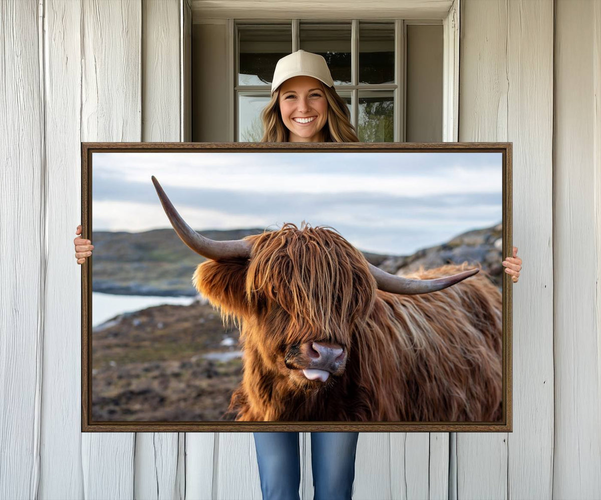 Cuddly Highland Cow Canvas Photo Wall Art Print Highlands