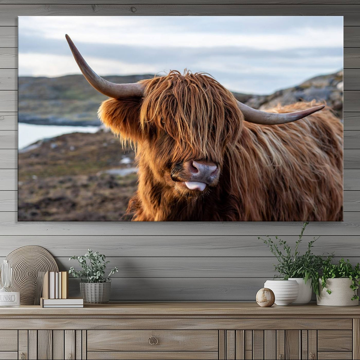 Cuddly Highland Cow Canvas Photo Wall Art Print Highlands