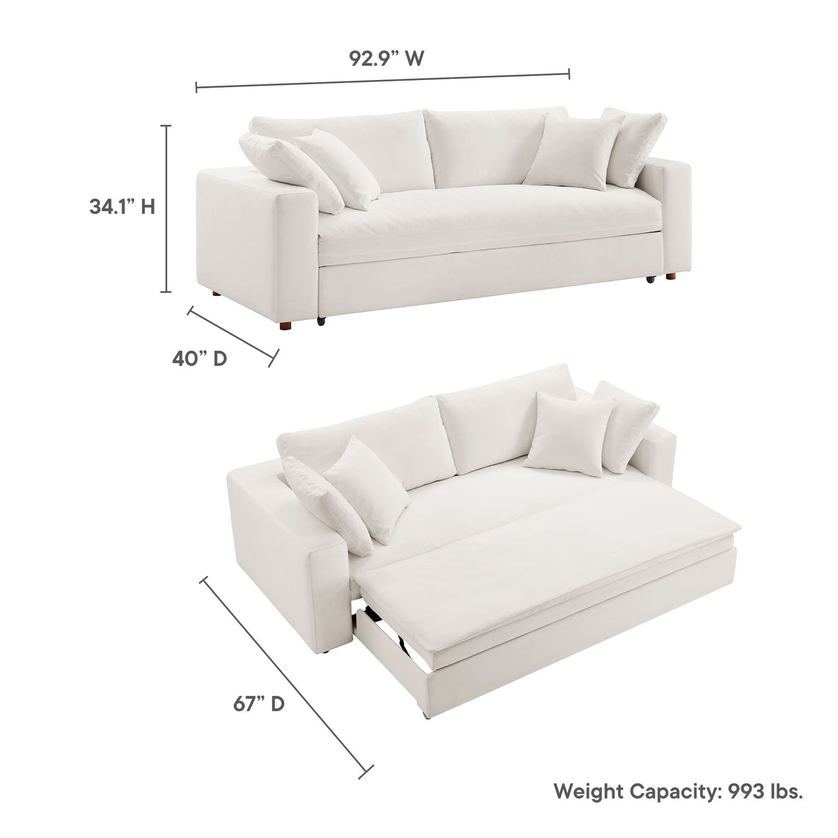 Commix Down Filled Overstuffed Sleeper Sofa by Modway