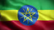 1-lb-Ethiopia-Guji-Hambela-Coffee-roasted-Coffee