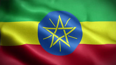 1-lb.-Ethiopian-Sidamo-Shantawene-Natural-G1-Organic-Coffee-roasted-whole-bean