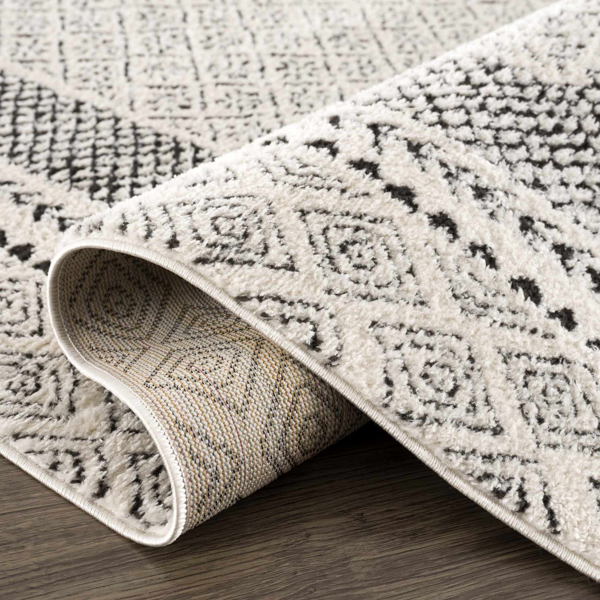 Julio Area Rug - Clearance