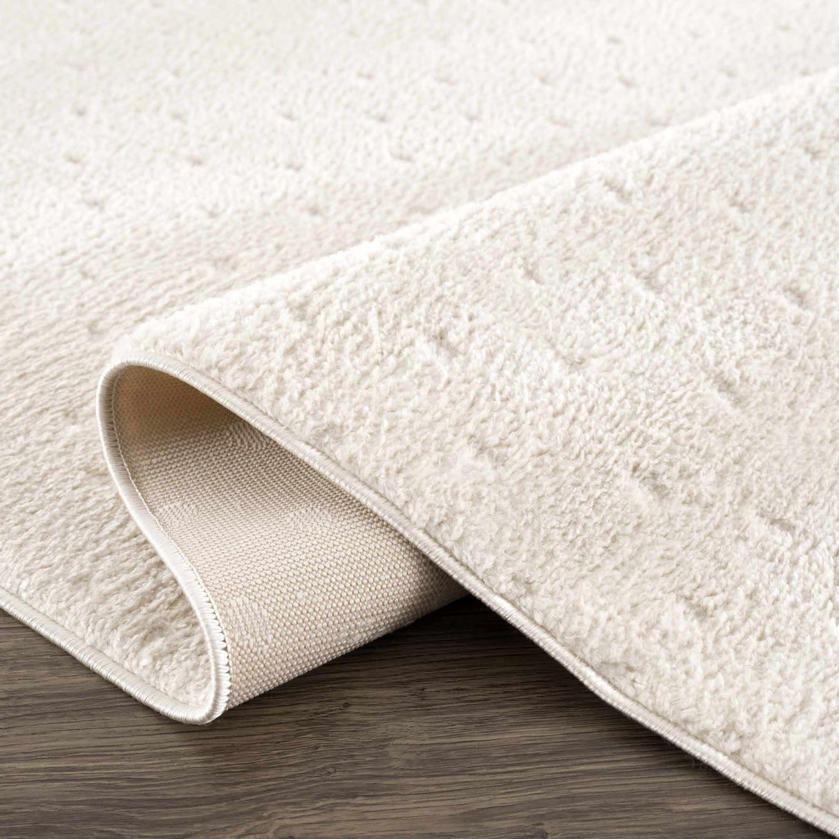 Julie Ivory Area Rug