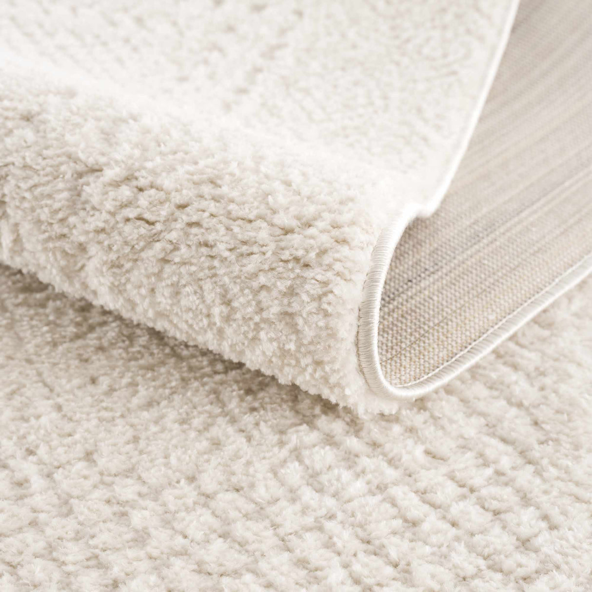 Julio Ivory Area Rug