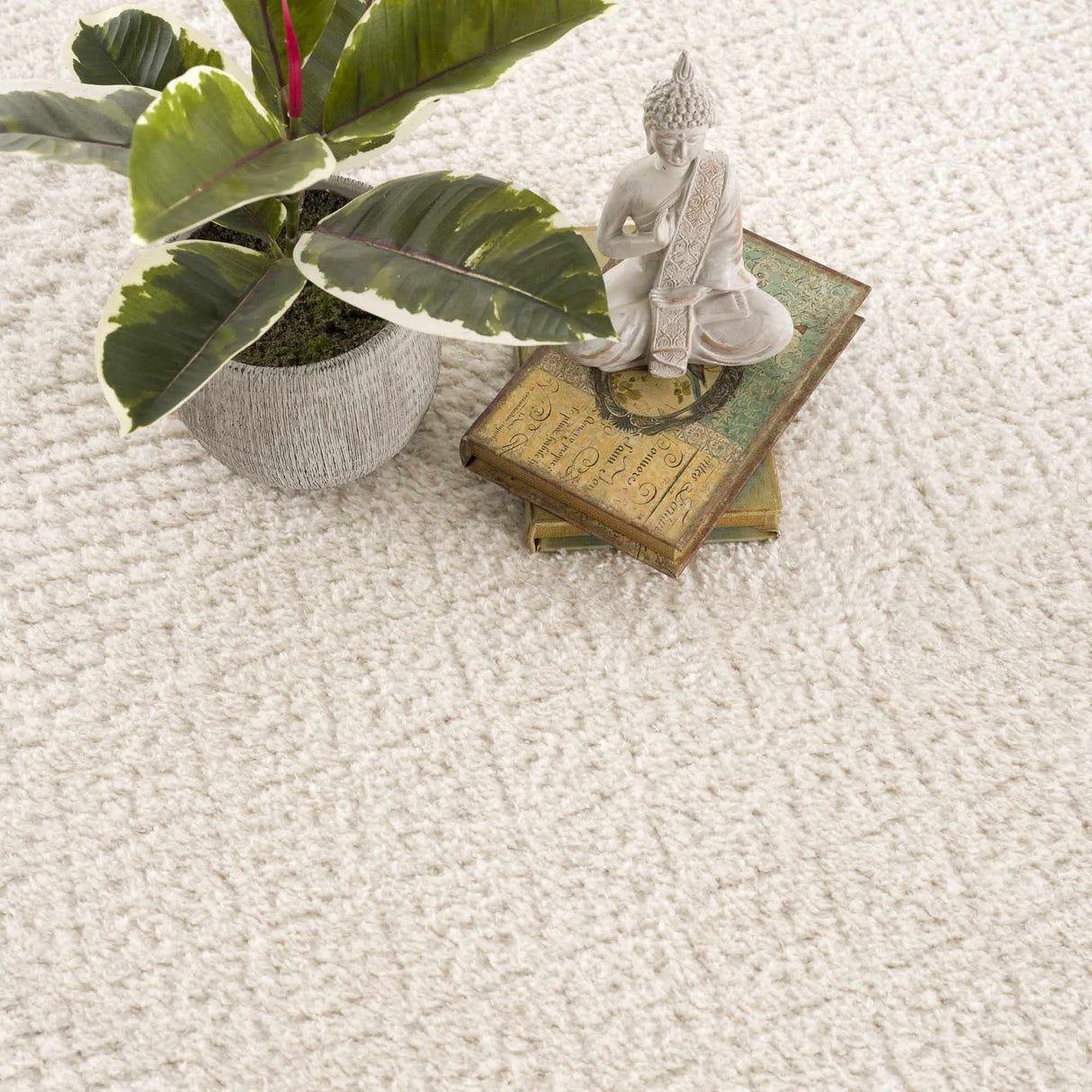 Julio Ivory Area Rug